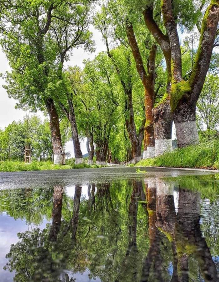 Varanda Do Alentejo Marvao  Ngoại thất bức ảnh